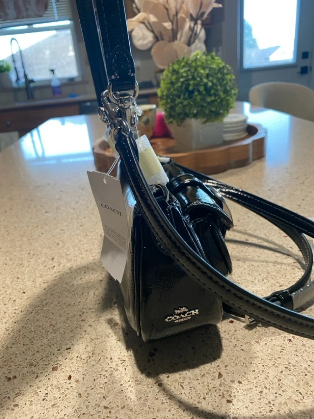 NWT COACH ASHTON MINI
